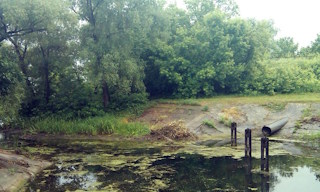 Экологические услуги от ПромМир-Бгд в Богородицке - стоимость от 12823 руб.