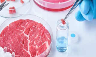 Лабораторный анализ пищевых продуктов по СанПиН в Богородицке в октябре