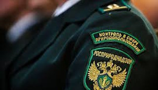 Подготовка к проверке Росприроднадзора в Богородицке от ПромМир-Бгд, стоимость услуги от 21372 руб.